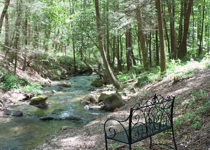 Private Creekside Cabin+Hot Tub,Pool Table, & Pets