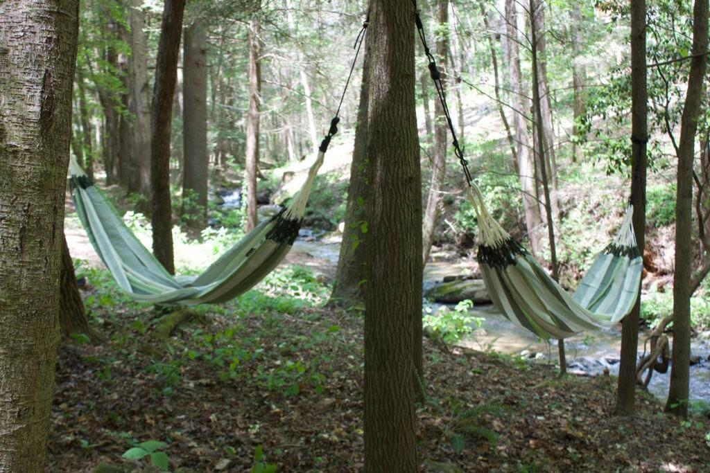 Holiday home Private Creekside Cabin+hot Tub,pool Table, & Pets